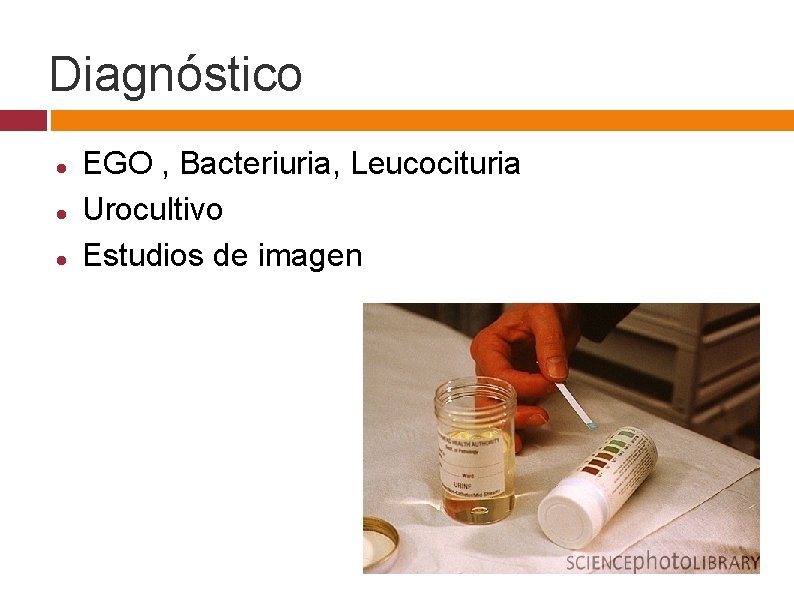 Diagnóstico EGO , Bacteriuria, Leucocituria Urocultivo Estudios de imagen 