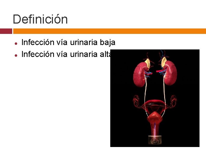 Definición Infección vía urinaria baja Infección vía urinaria alta 