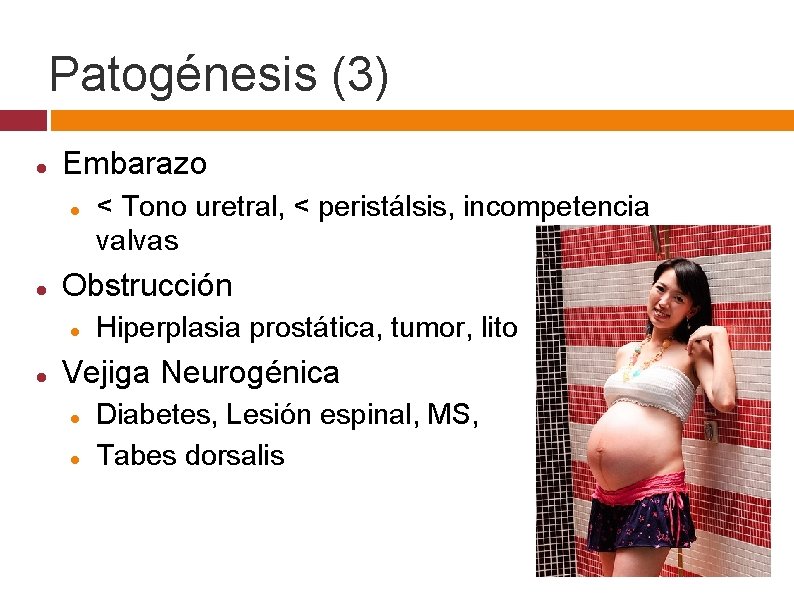 Patogénesis (3) Embarazo Obstrucción < Tono uretral, < peristálsis, incompetencia valvas Hiperplasia prostática, tumor,