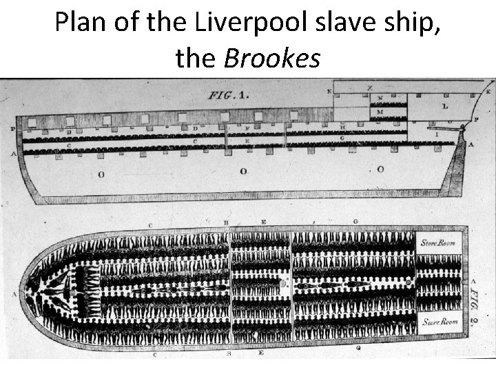 Plan of the Liverpool slave ship, the Brookes 