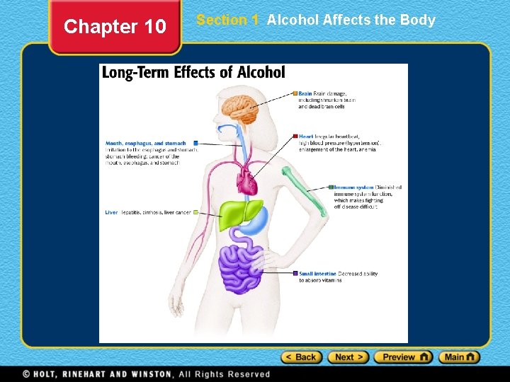 Chapter 10 Section 1 Alcohol Affects the Body 