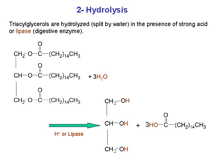 2 - Hydrolysis Triacylglycerols are hydrolyzed (split by water) in the presence of strong