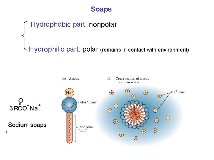 Soaps Hydrophobic part: nonpolar Hydrophilic part: polar (remains in contact with environment) 