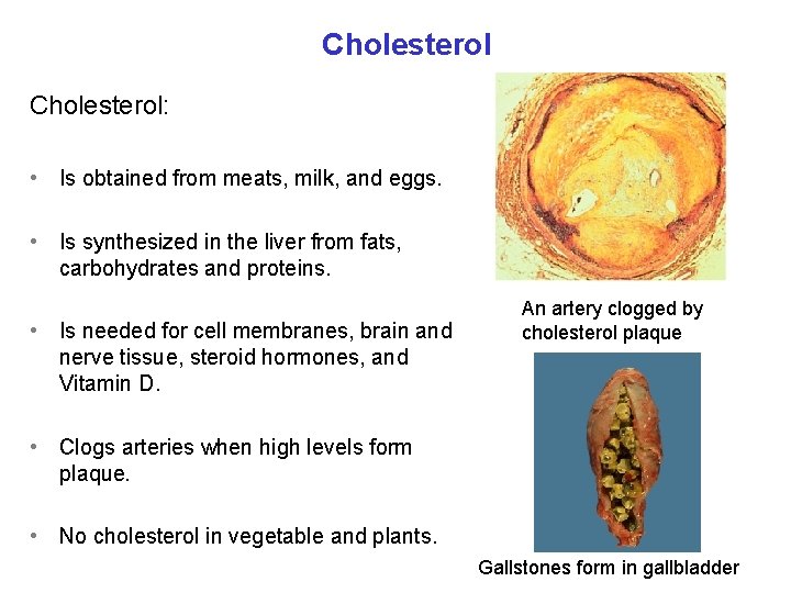 Cholesterol: • Is obtained from meats, milk, and eggs. • Is synthesized in the