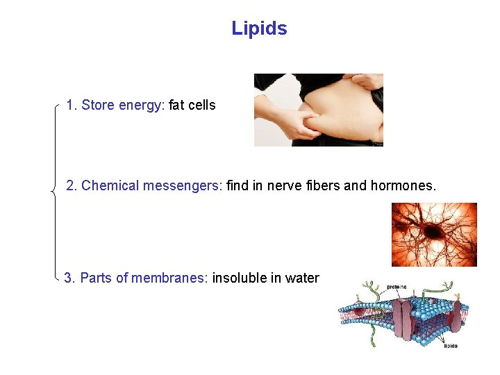 Chemistry B 11 Chapter 15 Lipids Lipids Family