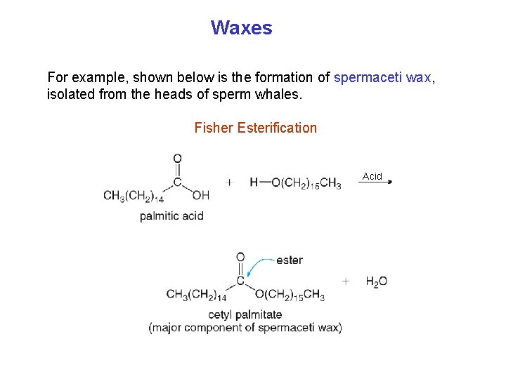 Waxes For example, shown below is the formation of spermaceti wax, isolated from the