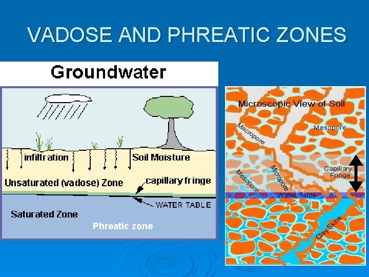 VADOSE AND PHREATIC ZONES Phreatic zone 