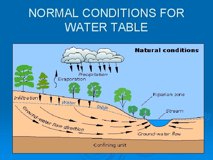 NORMAL CONDITIONS FOR WATER TABLE 