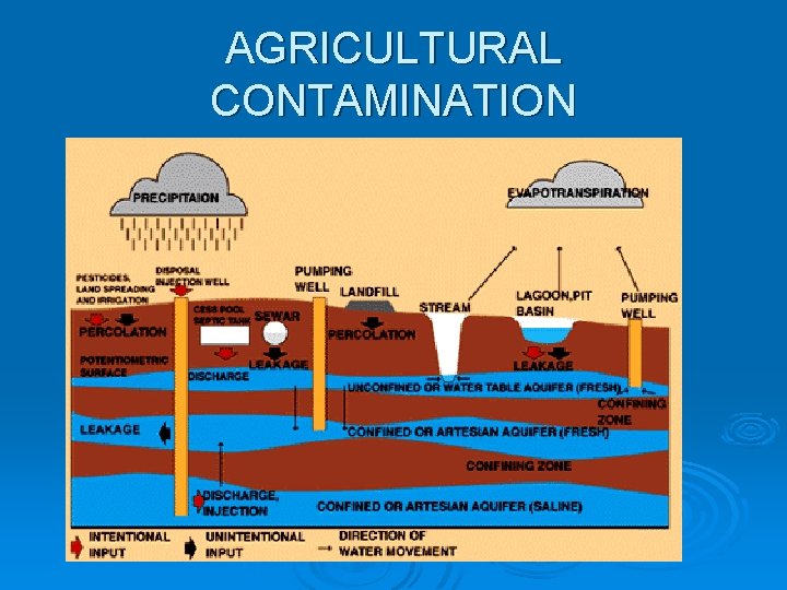 AGRICULTURAL CONTAMINATION 