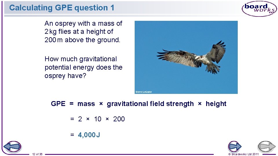 Calculating GPE question 1 An osprey with a mass of 2 kg flies at