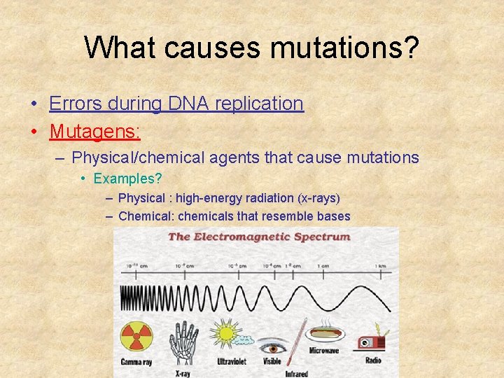 What causes mutations? • Errors during DNA replication • Mutagens: – Physical/chemical agents that