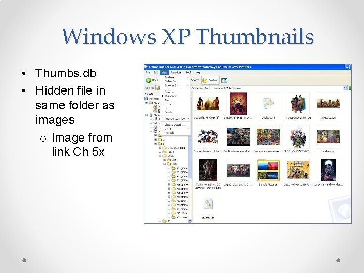 Windows XP Thumbnails • Thumbs. db • Hidden file in same folder as images