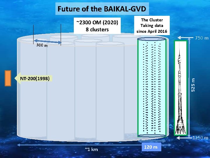 Future of the BAIKAL-GVD ~2300 OM (2020) 8 clusters The Cluster Taking data since