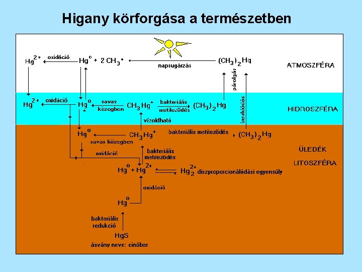 Higany körforgása a természetben 