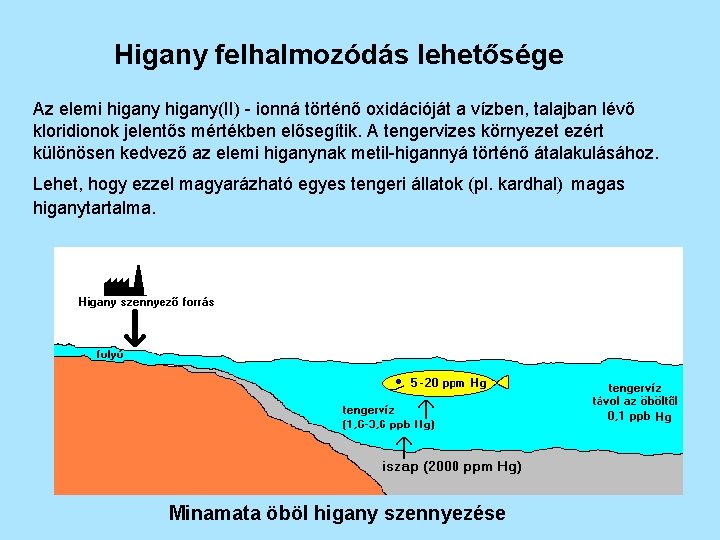 Higany felhalmozódás lehetősége Az elemi higany(II) - ionná történő oxidációját a vízben, talajban lévő