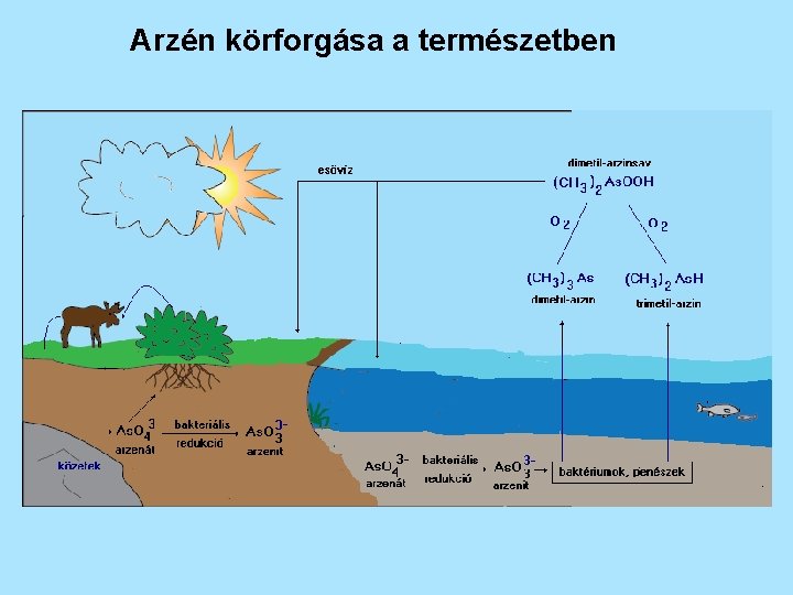 Arzén körforgása a természetben 