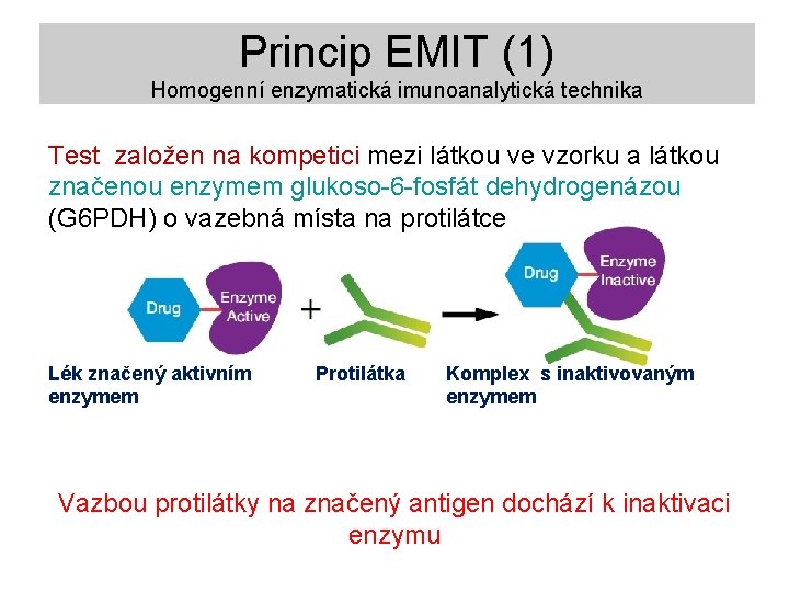 Princip EMIT (1) Homogenní enzymatická imunoanalytická technika Test založen na kompetici mezi látkou ve