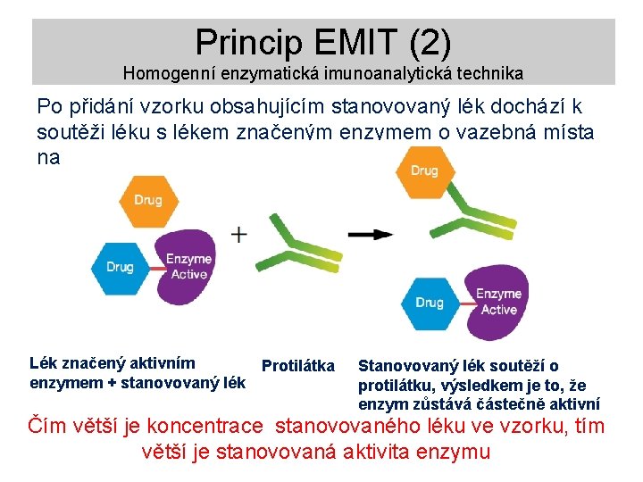 Princip EMIT (2) Homogenní enzymatická imunoanalytická technika Po přidání vzorku obsahujícím stanovovaný lék dochází