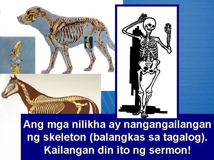 Ang mga nilikha ay nangangailangan ng skeleton (balangkas sa tagalog). Kailangan din ito ng