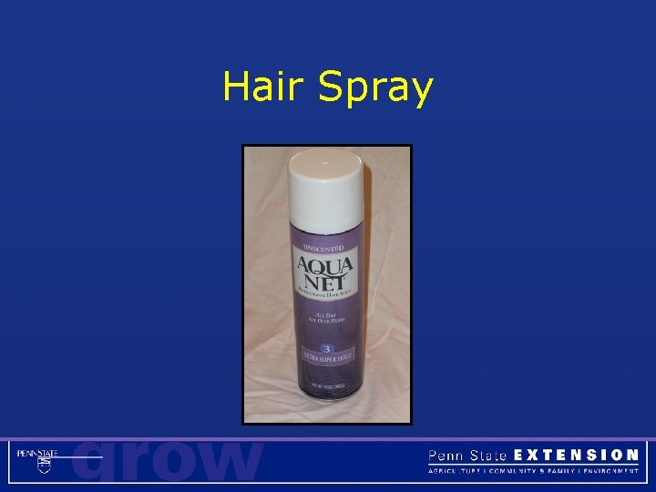 Hair Spray 