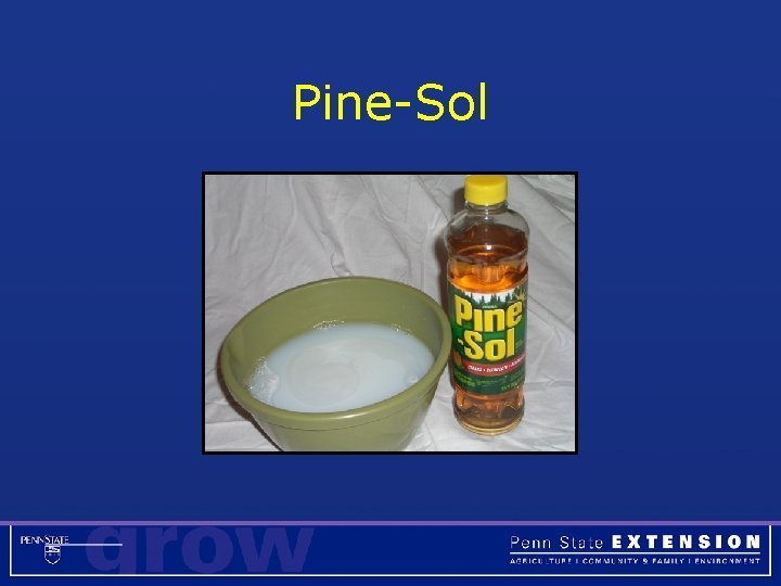 Pine-Sol 