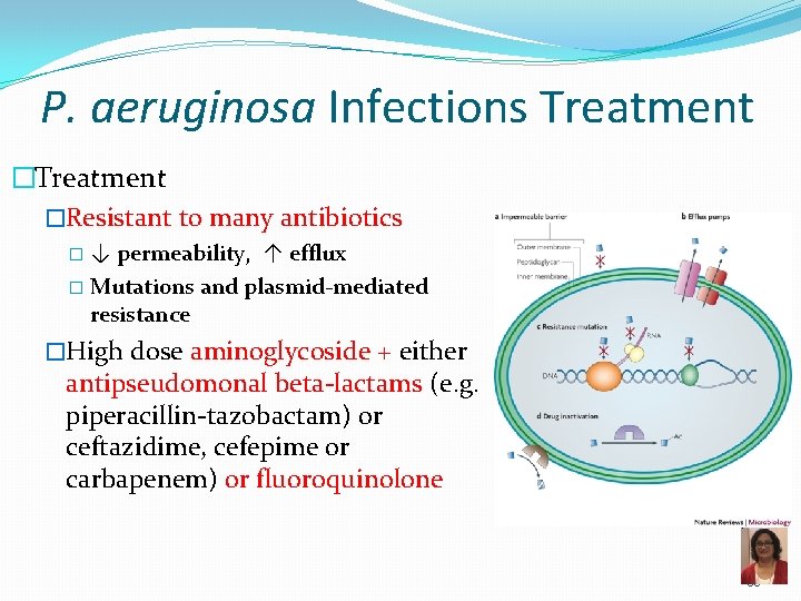 P. aeruginosa Infections Treatment �Resistant to many antibiotics �↓ permeability, ↑ efflux � Mutations