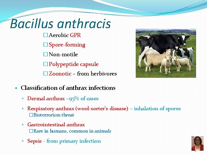 Bacillus anthracis � Aerobic GPR � Spore-forming � Non-motile � Polypeptide capsule � Zoonotic