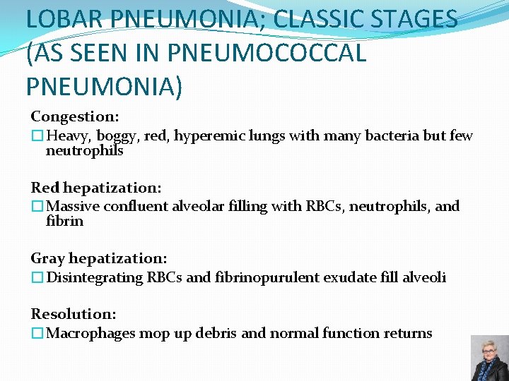 LOBAR PNEUMONIA; CLASSIC STAGES (AS SEEN IN PNEUMOCOCCAL PNEUMONIA) Congestion: �Heavy, boggy, red, hyperemic