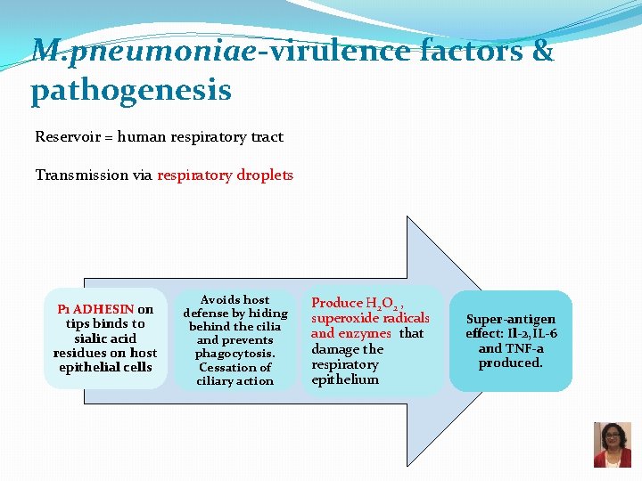 M. pneumoniae-virulence factors & pathogenesis Reservoir = human respiratory tract Transmission via respiratory droplets