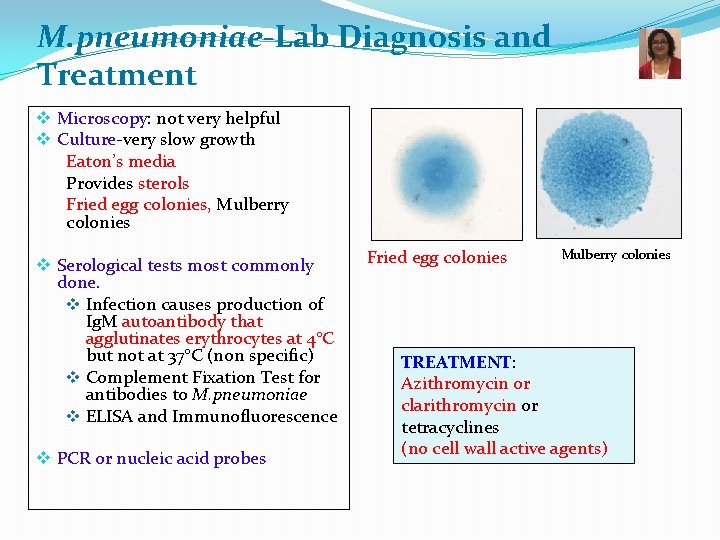 M. pneumoniae-Lab Diagnosis and Treatment v Microscopy: not very helpful v Culture-very slow growth