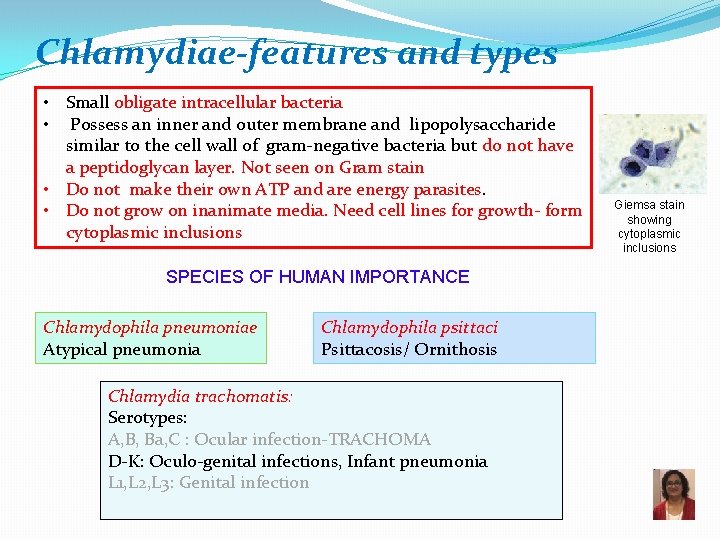 Chlamydiae-features and types • Small obligate intracellular bacteria • Possess an inner and outer