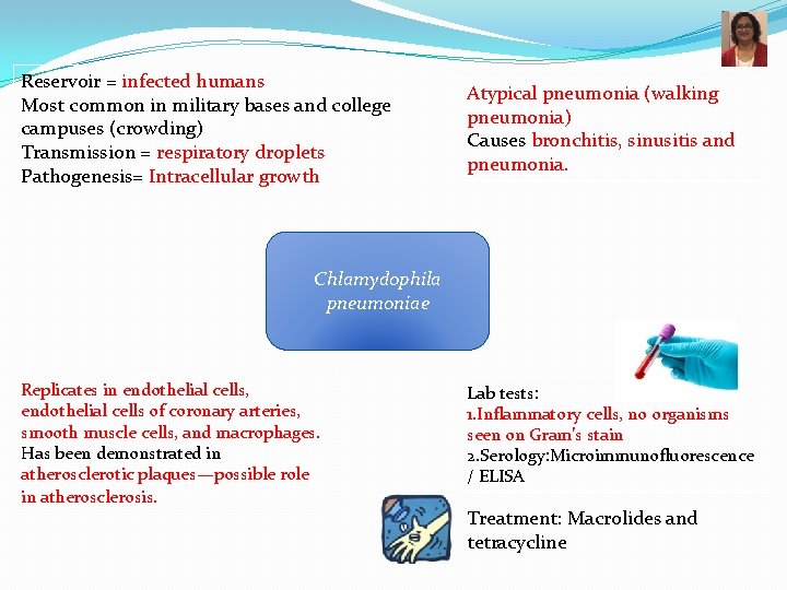 Reservoir = infected humans Most common in military bases and college campuses (crowding) Transmission