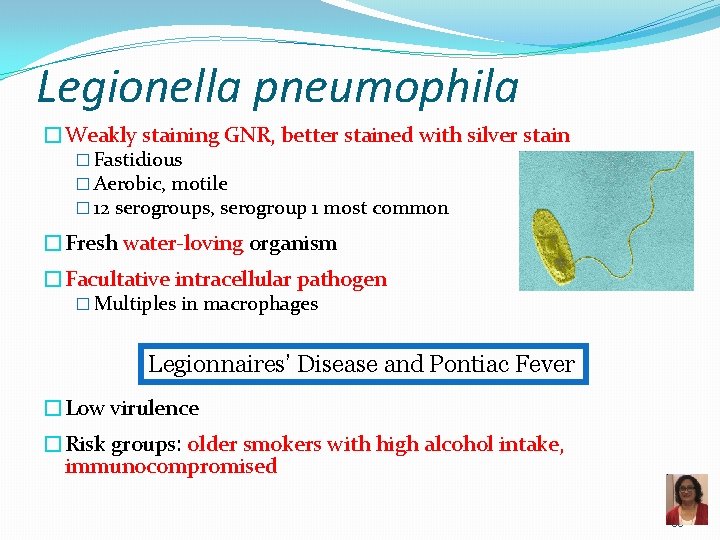 Legionella pneumophila �Weakly staining GNR, better stained with silver stain � Fastidious � Aerobic,