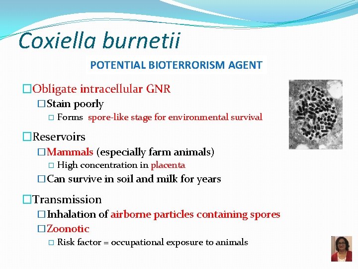 Coxiella burnetii POTENTIAL BIOTERRORISM AGENT �Obligate intracellular GNR �Stain poorly � Forms spore-like stage