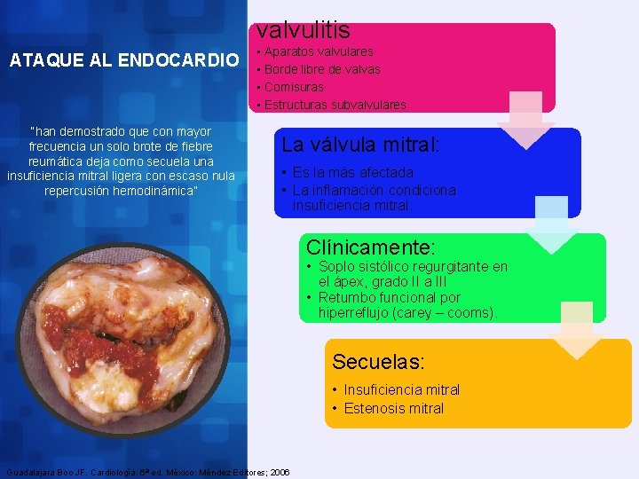 valvulitis ATAQUE AL ENDOCARDIO “han demostrado que con mayor frecuencia un solo brote de