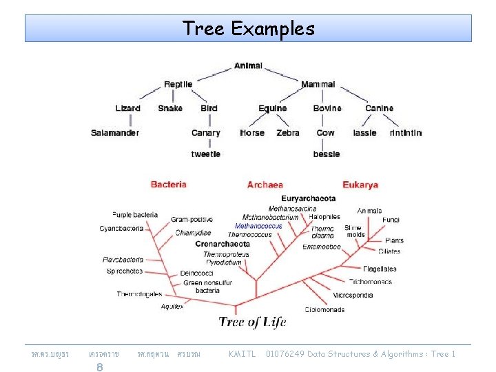 Tree Examples รศ. ดร. บญธร เครอตราช 8 รศ. กฤตวน ศรบรณ KMITL 01076249 Data Structures