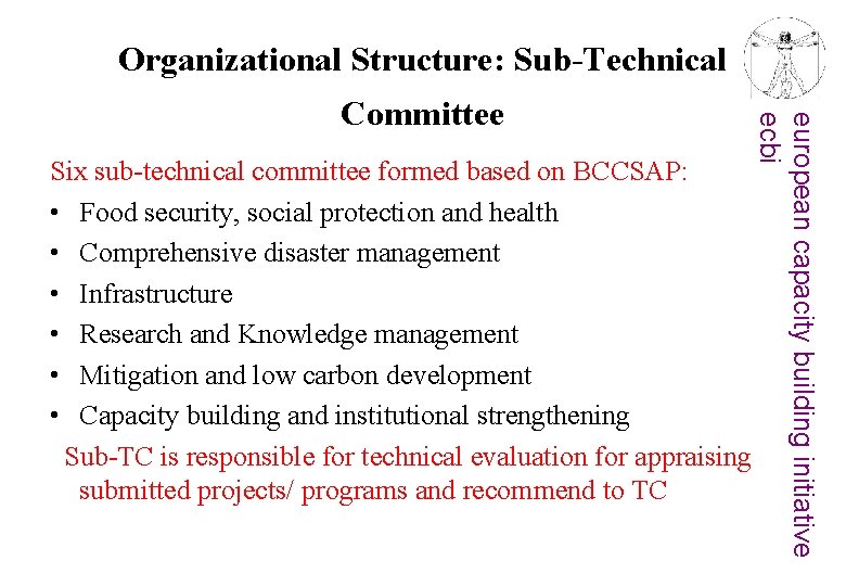 Organizational Structure: Sub-Technical Six sub-technical committee formed based on BCCSAP: • Food security, social