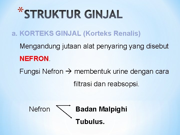 * a. KORTEKS GINJAL (Korteks Renalis) Mengandung jutaan alat penyaring yang disebut NEFRON. Fungsi