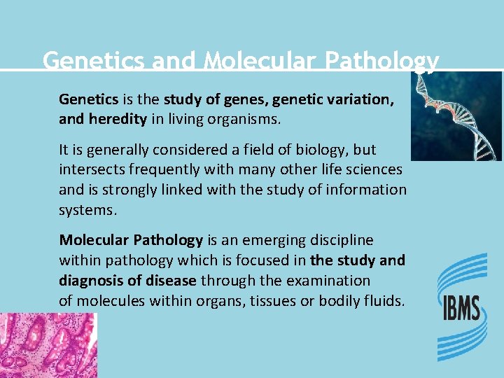 Genetics and Molecular Pathology Genetics is the study of genes, genetic variation, and heredity