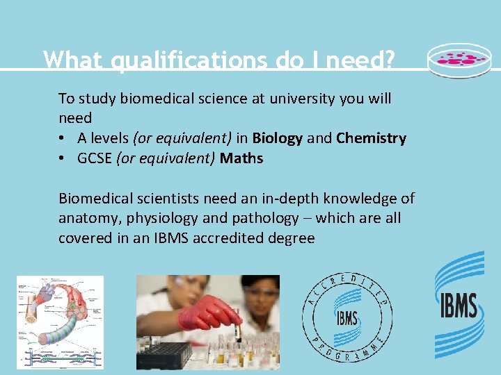 What qualifications do I need? To study biomedical science at university you will need