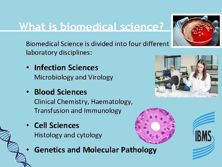 What is biomedical science? Biomedical Science is divided into four different laboratory disciplines: •