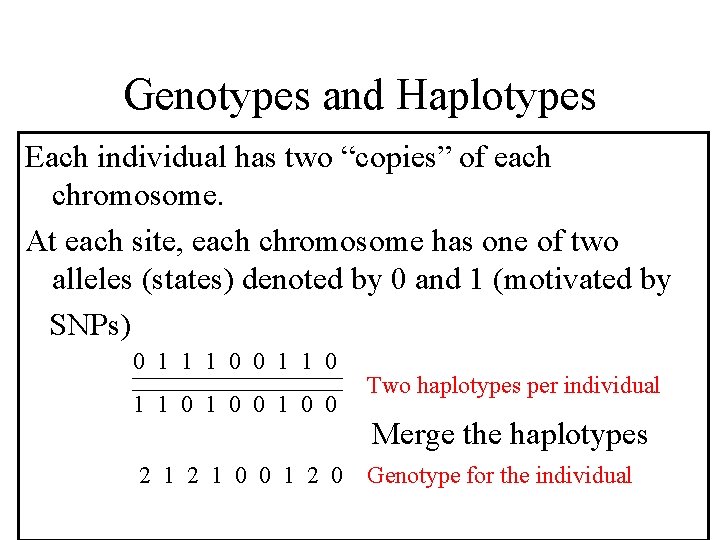 Genotypes and Haplotypes Each individual has two “copies” of each chromosome. At each site,