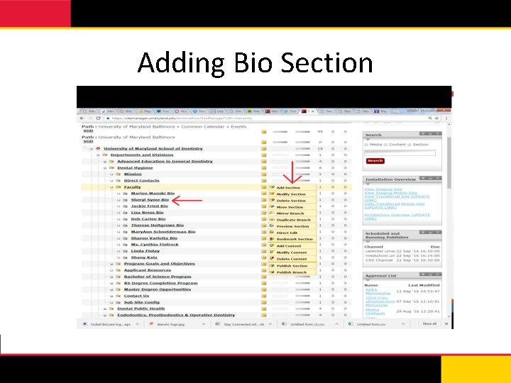 Adding Bio Section 