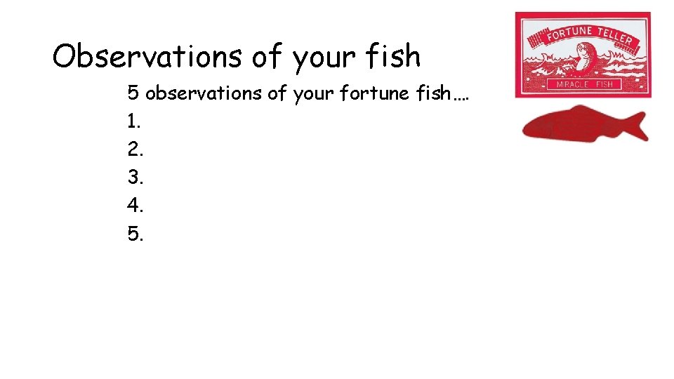 Observations of your fish 5 observations of your fortune fish…. 1. 2. 3. 4.