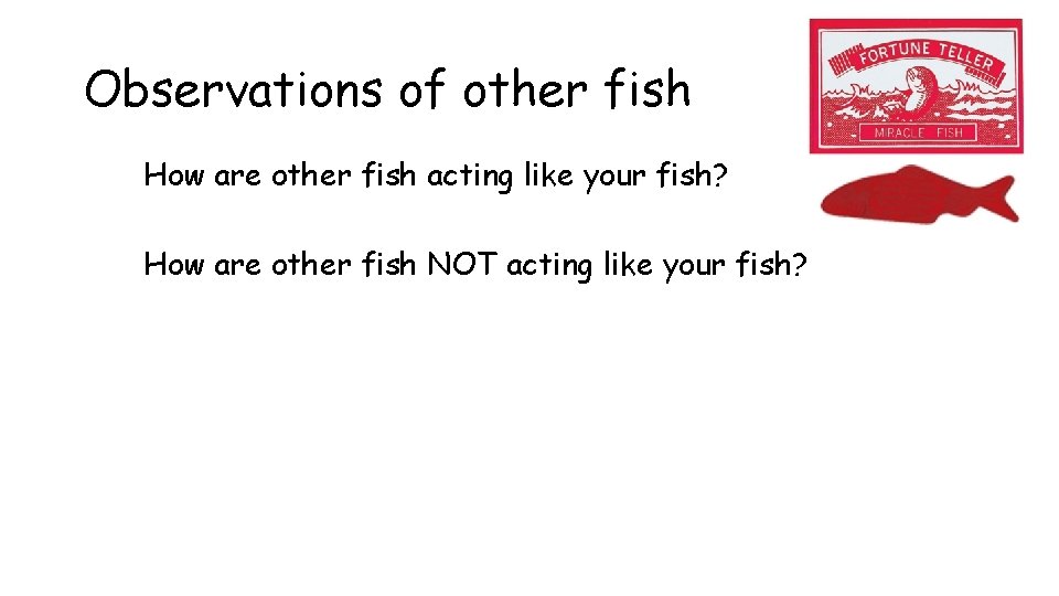 Observations of other fish How are other fish acting like your fish? How are