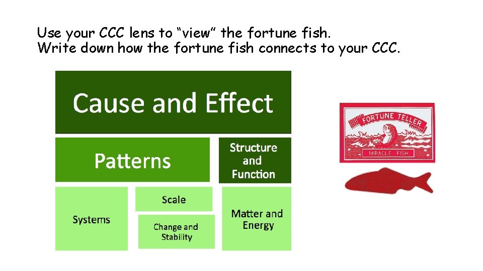 Use your CCC lens to “view” the fortune fish. Write down how the fortune