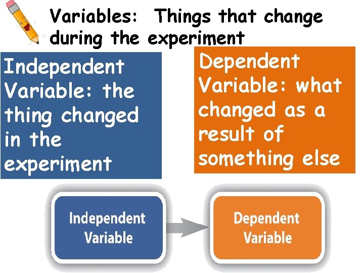 Variables: Things that change during the experiment Independent Variable: the thing changed in the