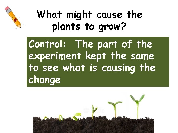 What might cause the plants to grow? Control: The part of the experiment kept