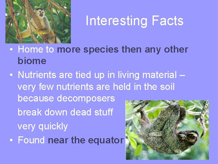 Interesting Facts • Home to more species then any other biome • Nutrients are