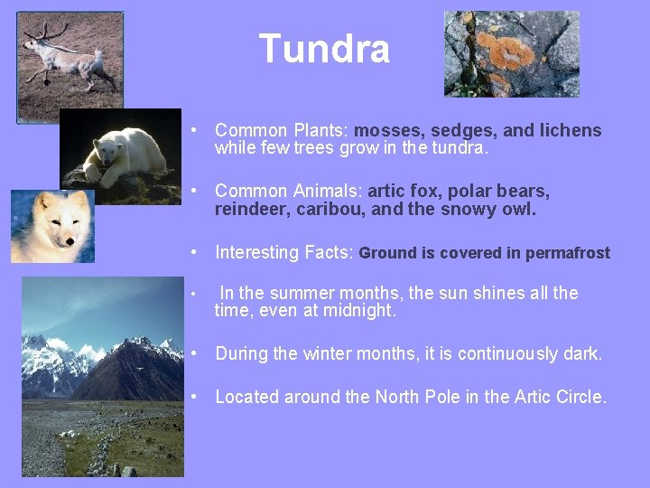 Tundra • Common Plants: mosses, sedges, and lichens while few trees grow in the